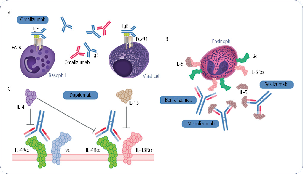 JIACI · Journal of Investigational Allergology and Clinical Immunology